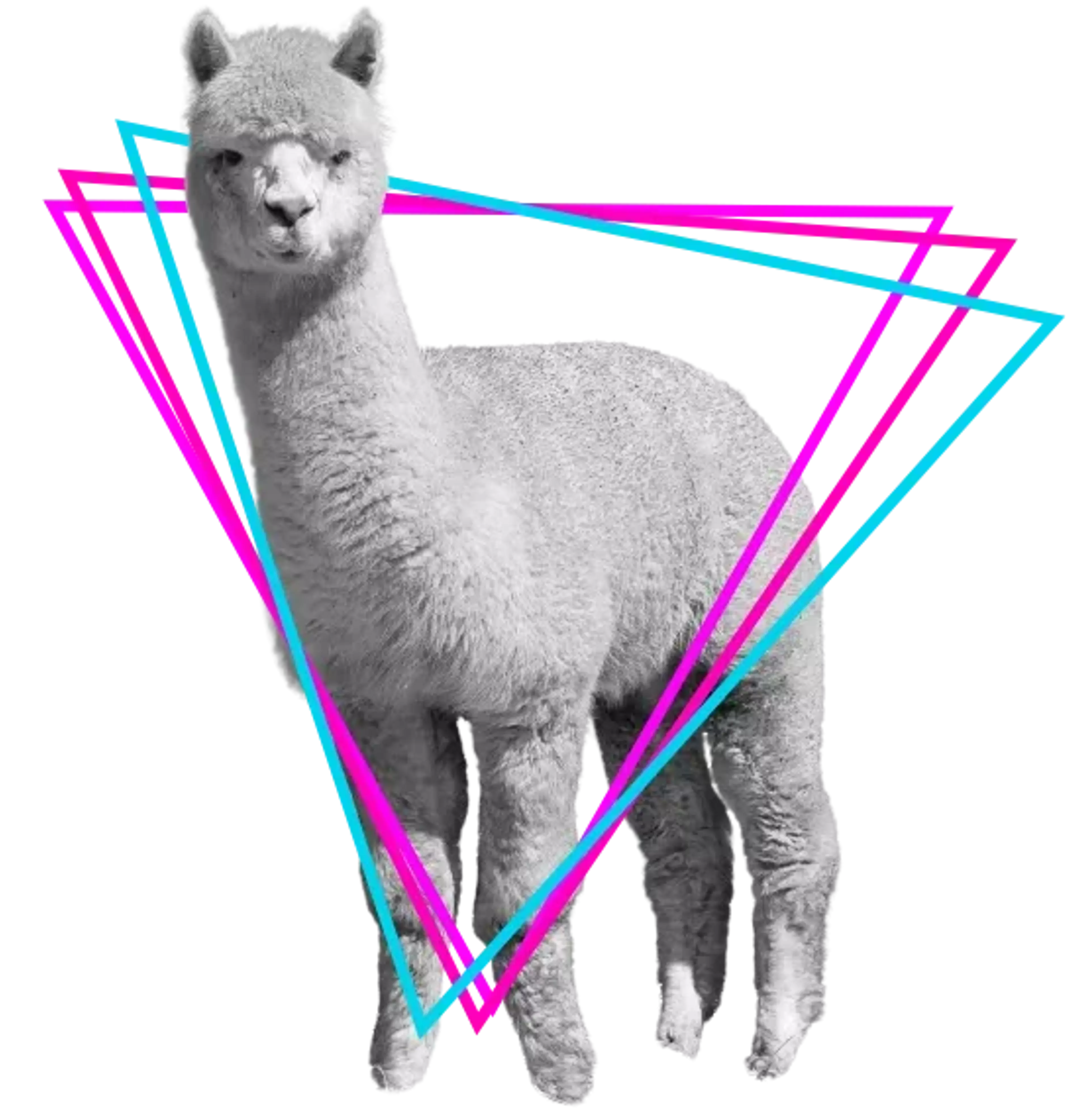 Our symbol is Alpaca